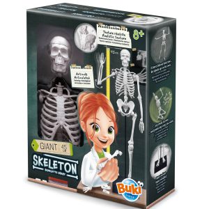 Skelet Buki