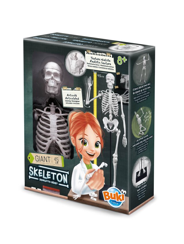 Skelet Buki