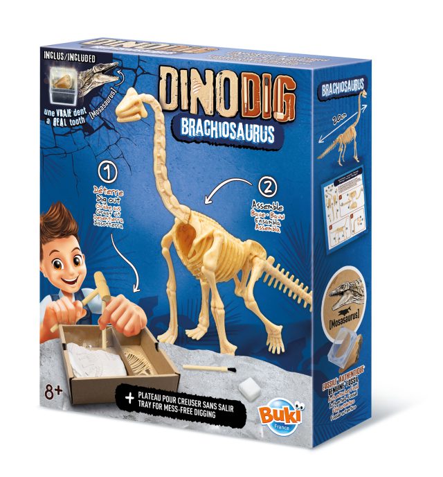 Dino iskopina Buki