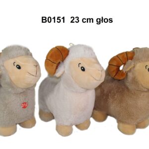 Ovan 22cm